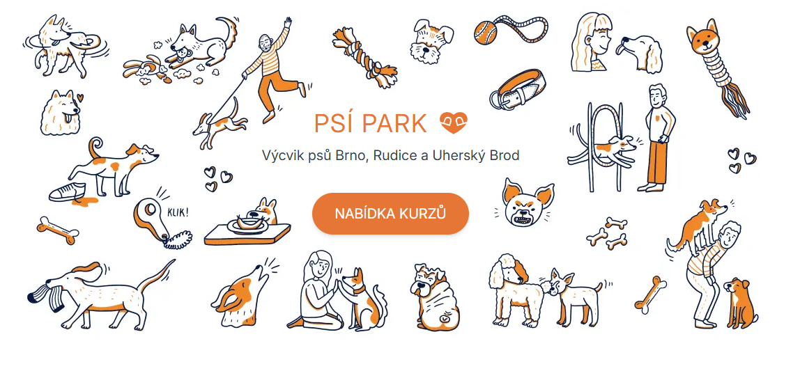 Petra Marečková – NÁHLEDOVÁ PRAXE